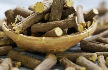 Nature with Organic Herbs & Roots Nature with Organic Herbs & Roots