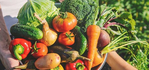 Vegetables Their Hands