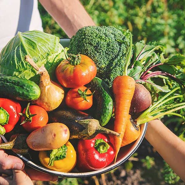 Vegetables Their Hands
