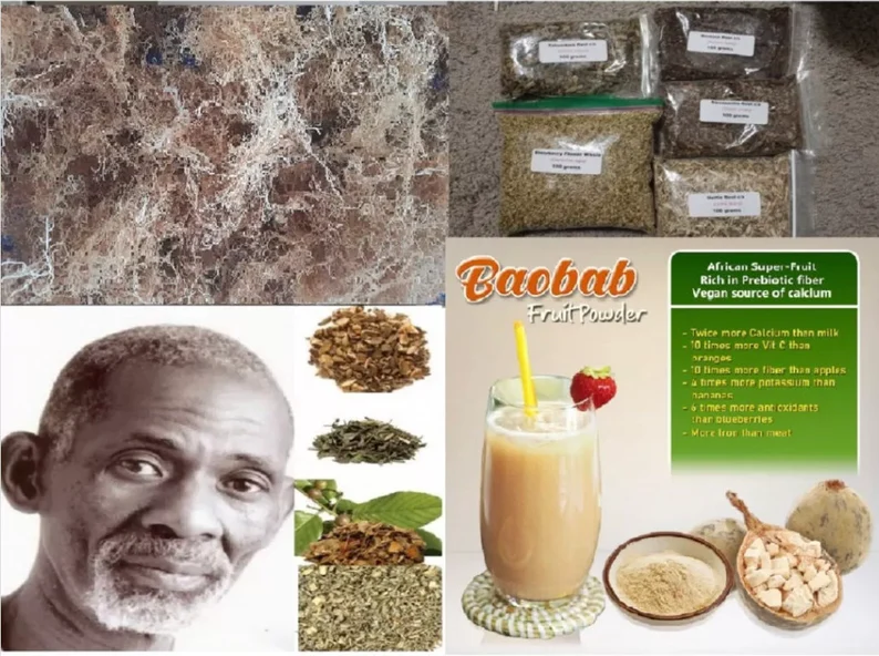 Dr. Sebi Inspired 30 Day Herbal Detox 10 Alkaline Herbs for Full Body Cleanse - Image 6