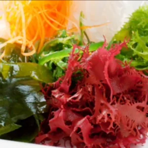 Drink Electric Powder Sea Vegetation