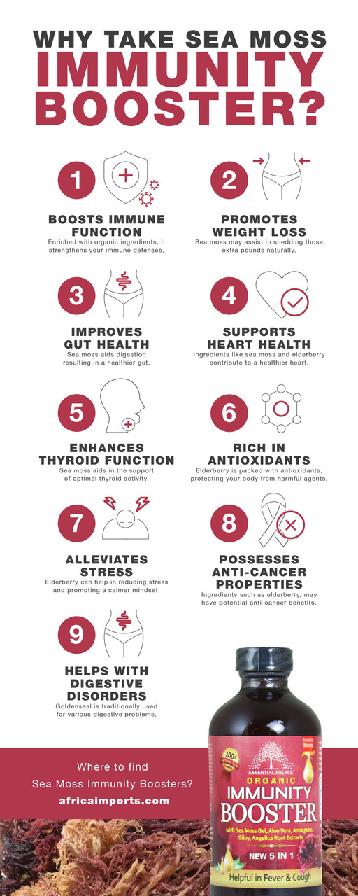 Organic Sea Moss Wellness Booster – 16 oz | Elderberry, Echinacea & Goldenseal Herbal Blend | Natural Daily Support Tonic - Image 3