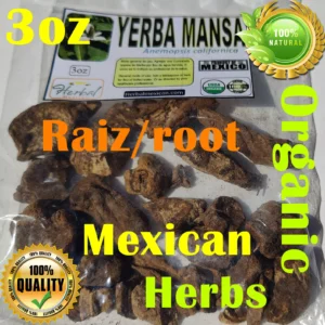 erba Mansa Root (Anemopsis californica) 3oz | Hierba del Manso / Mansa Raíz | Traditional Herbal Root for Detox, Digestion & Respiratory Support