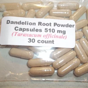 Wormwood Powder & Dandelion Root Capsules – 30 Count | Herbal Wellness Blend | Traditional Bitter & Root Support